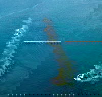 Port Noarlunga Reef Sanctuary Zone - Encounter Marine Park - Hotel Accommodation