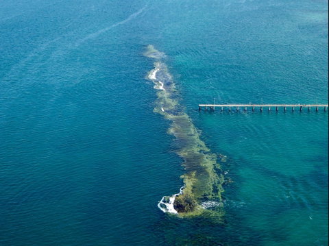 Port Noarlunga Reef Sanctuary Zone - Encounter Marine Park - Hotel Accommodation 0
