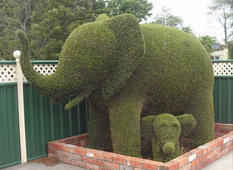 Railton: Town Of Topiary - Hotel Accommodation 0