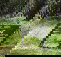 Ritchie's Hut - Hotel Accommodation