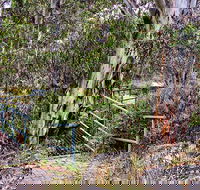 Sawpit Walking Track - Hotel Accommodation