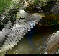 Second Ponds Creek Walk - Hotel Accommodation