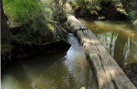 Second Ponds Creek Walk - Hotel Accommodation 0