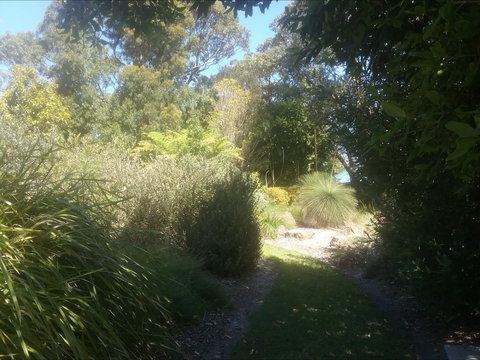 Shoalhaven Heads Native Botanic Garden - Hotel Accommodation 2