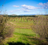 Tarago Truffles - Hotel Accommodation