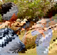 Taranna - Hotel Accommodation