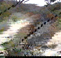 The Falls Water Falls - Hotel Accommodation