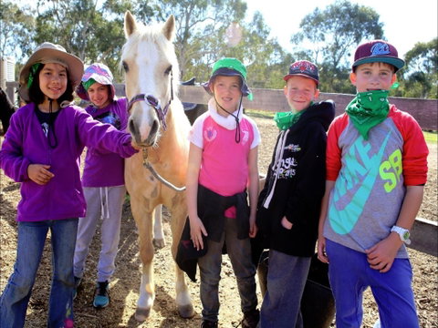 The Saddle Camp - Hotel Accommodation 0