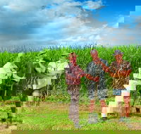 The Shed Gallery - Hotel Accommodation