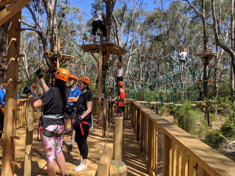 Trees Adventure - Yanchep Park - Hotel Accommodation 0