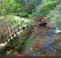 Waitui Falls - Hotel Accommodation