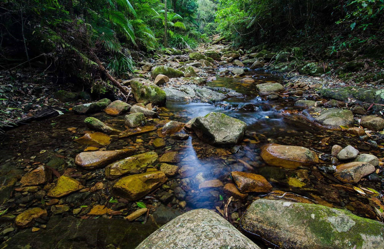 Willi Willi NSW Hotel Accommodation