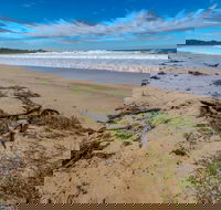 Avenue Beach - Hotel Accommodation