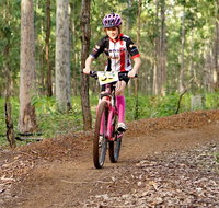 Bom Bom State Forest Mountain Bike Trails - Hotel Accommodation