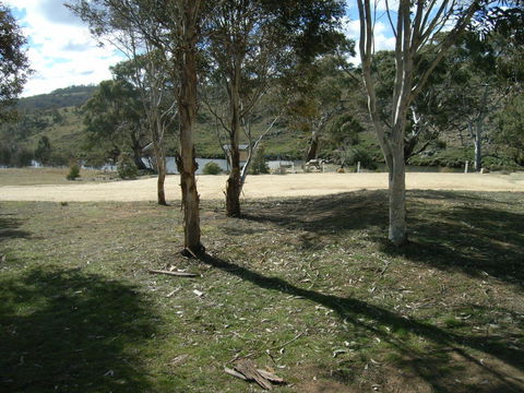 Bombala Platypus Reserve - Hotel Accommodation 0