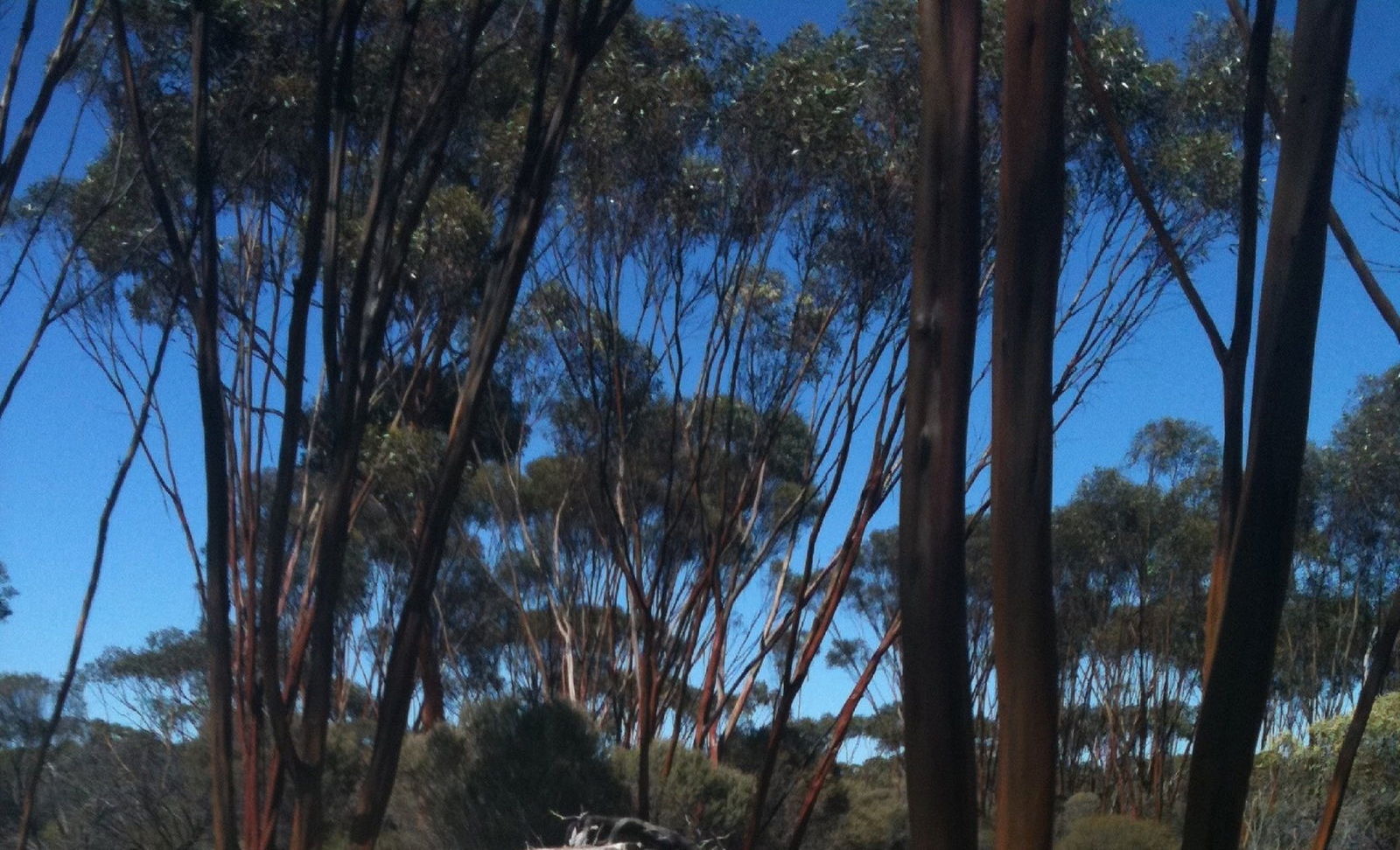 Boorabbin WA Hotel Accommodation