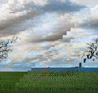 Clare Valley - Hotel Accommodation