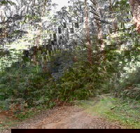 End Peak walking track - Hotel Accommodation
