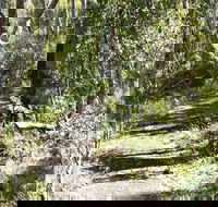 Euglah Rock Walking Track - Hotel Accommodation