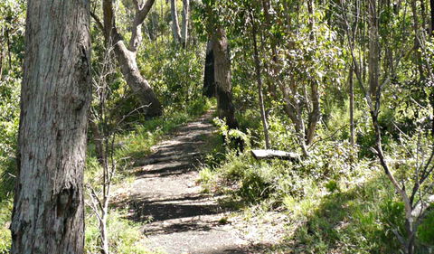 Euglah Rock Walking Track - Hotel Accommodation 0