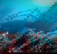 ex HMAS Adelaide - Hotel Accommodation