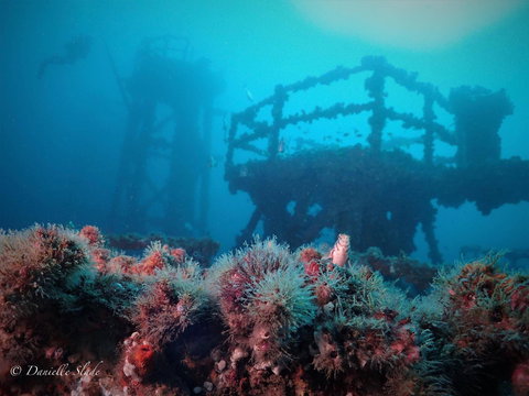 Ex HMAS Adelaide - Hotel Accommodation 0