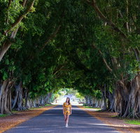 Fig Tree Avenue - Hotel Accommodation