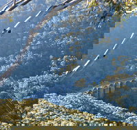 Forest Walk to Sublime Point Track - Hotel Accommodation