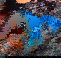 Heron Bommie - Hotel Accommodation