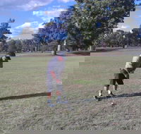 Inverell Golf Club - Hotel Accommodation