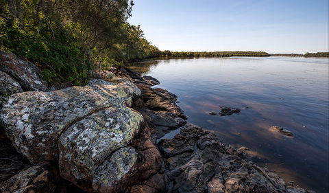 Karuah River National Park And Nature Reserve - Hotel Accommodation 2