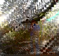 Kinglake National Park