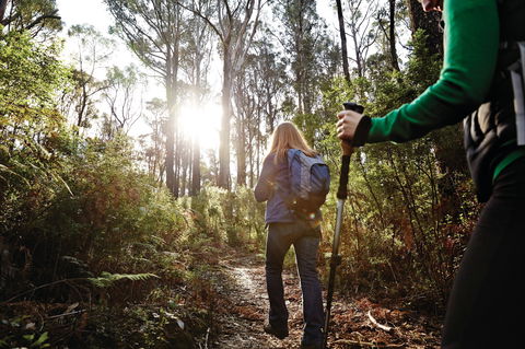 Kinglake National Park - Hotel Accommodation 0