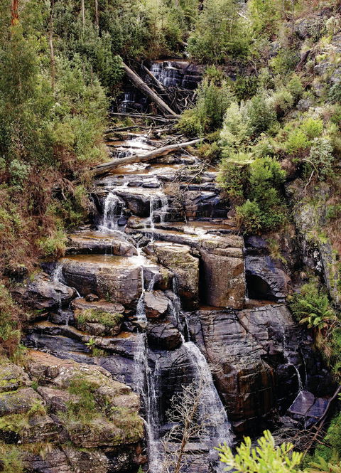 Kinglake National Park - Hotel Accommodation 1