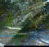 Lillypilly loop trail - Hotel Accommodation