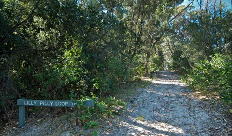 Lillypilly Loop Trail - Hotel Accommodation 0