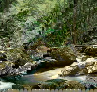 Maleny - Hotel Accommodation