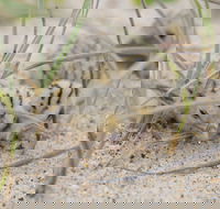 Manning Entrance State Park