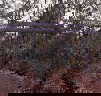 Marrinup Trail Dwellingup - Hotel Accommodation