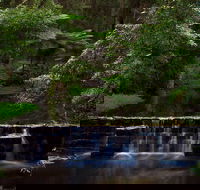 Millards Creek Walk and Cycleway - Hotel Accommodation