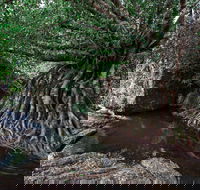Misty Mountains Wilderness Tracks - Hotel Accommodation