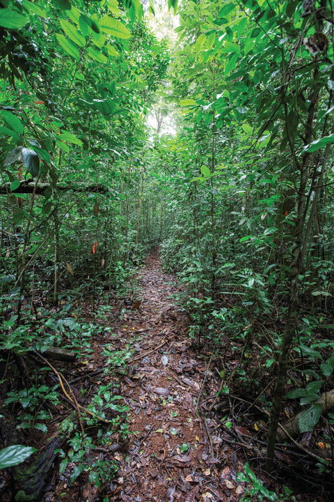 Misty Mountains Wilderness Tracks - Hotel Accommodation 1