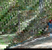 Monument Beach ride from Bendalong - Hotel Accommodation