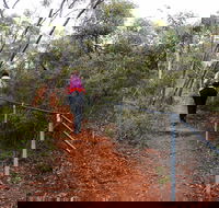 Mount Matilda Walk Trail Wongan Hills - Hotel Accommodation