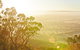 Mt Glenrowan Lookout Walk - thumb 1