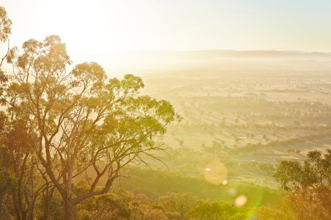 Mt Glenrowan Lookout Walk - Hotel Accommodation 1