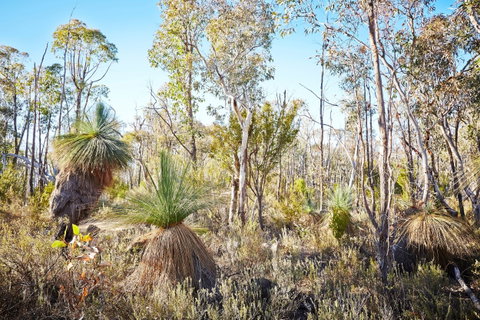 Mt Glenrowan Lookout Walk - Hotel Accommodation 2