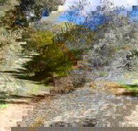 Naracoorte North Nature Park - Hotel Accommodation