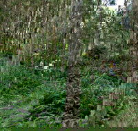 Nature Walking Track - Hotel Accommodation