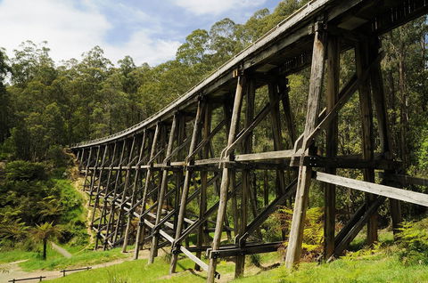Noojee Trestle Bridge - Hotel Accommodation 0